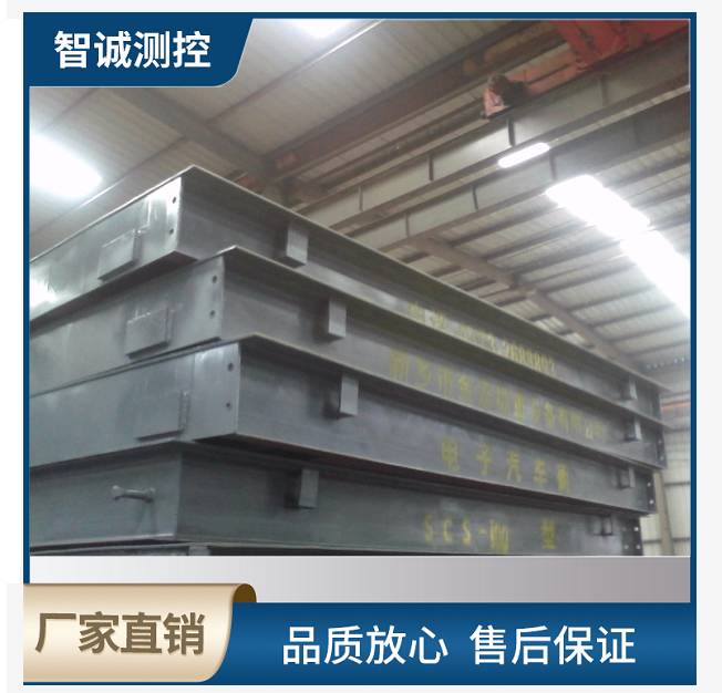 SCS-100型汽車(chē)衡