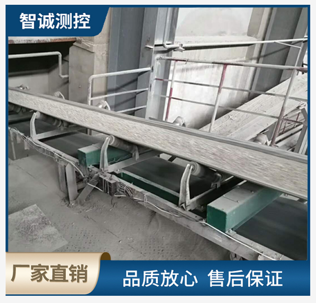 計量皮帶秤