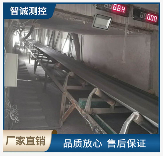 托輥電子計量秤