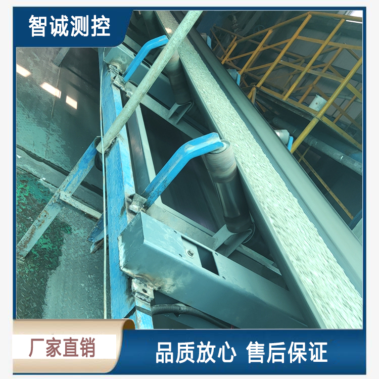 計量皮帶稱