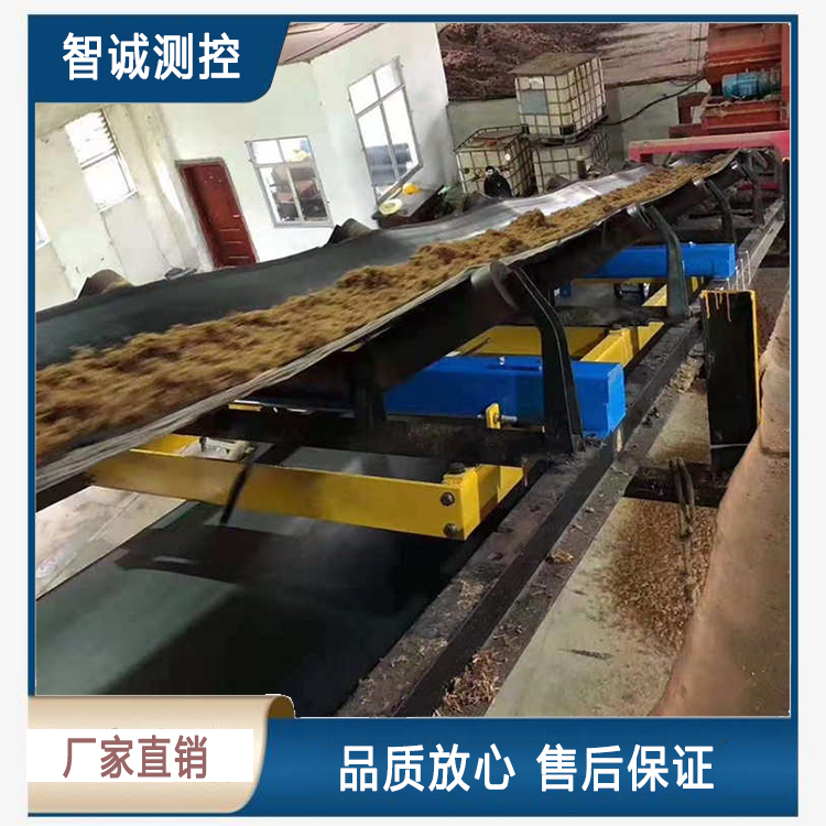 高精度皮帶稱
