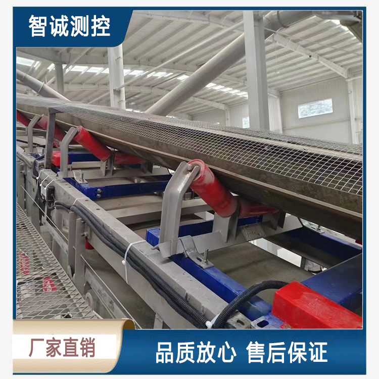 雙托輥皮帶稱